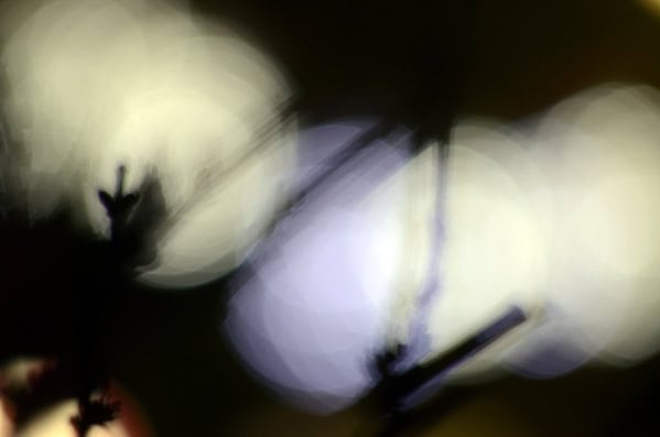 Behind Level Up! The Musical: 7 Ways Toby Watson Helps Bring Lucy Watson's Vision to Life